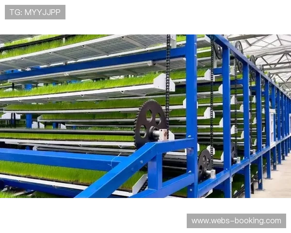 智慧农业技术培育运动草坪 保障赛事场地条件 智慧农业技术培育运动草坪 保障赛事场地条件